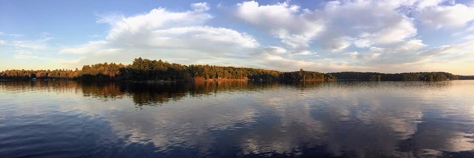 sstreich's profile banner image
