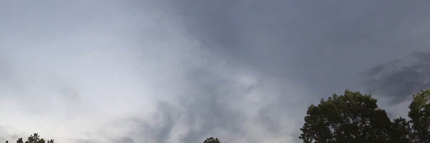 mimosa banner