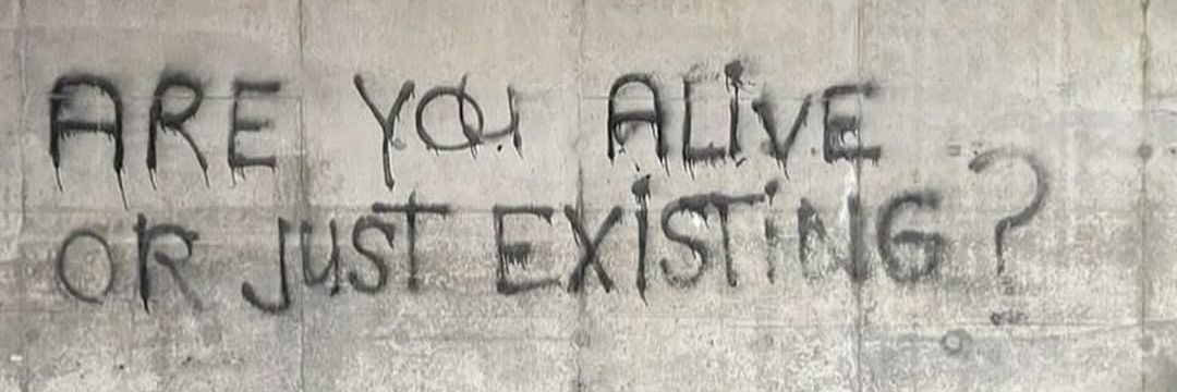 Elenarp__'s profile banner image