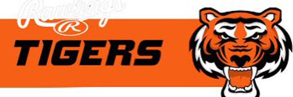 TigerMokenaChi Profile Banner