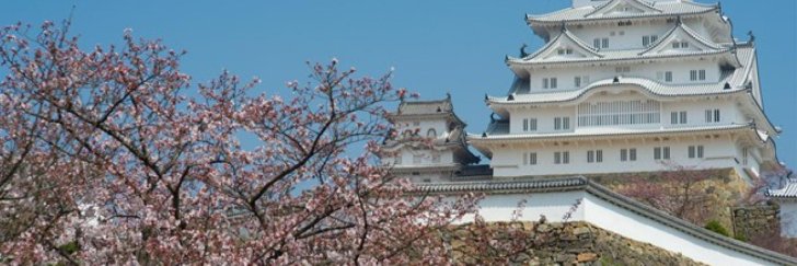 sgnm_ap's profile banner image