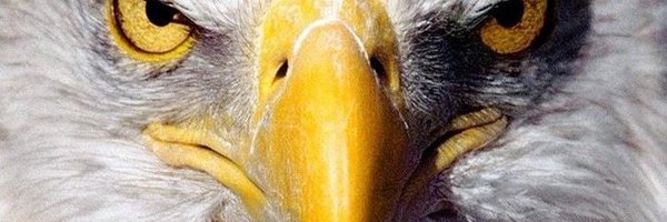 DRS072 Profile Banner