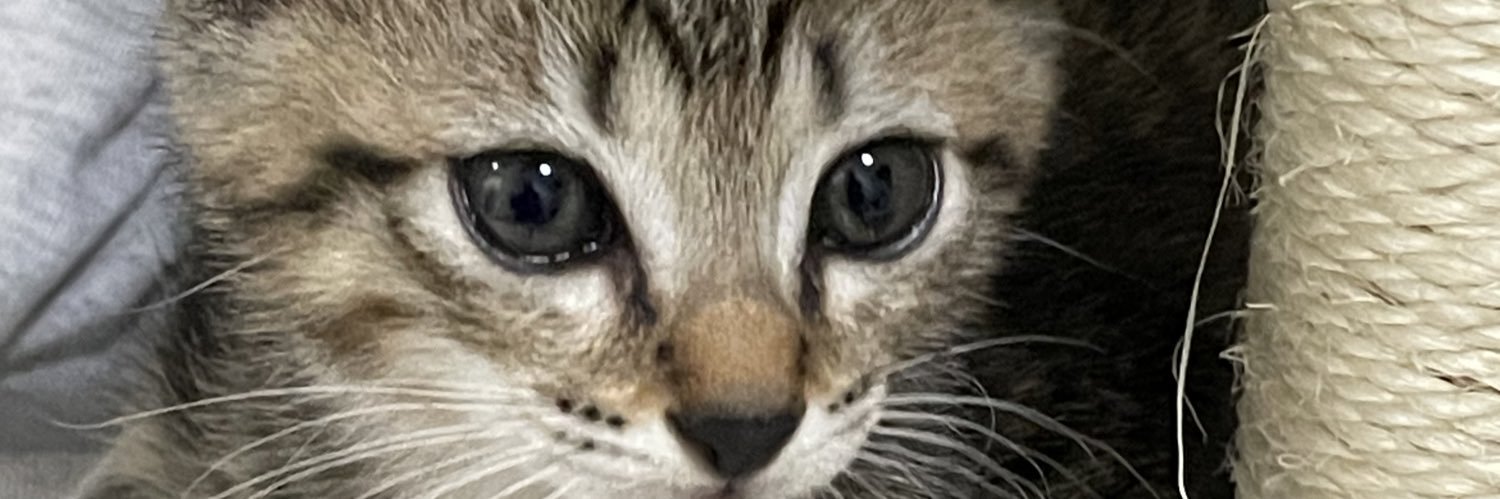 apmhmc55's profile banner image