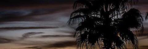 pippa10's profile banner image