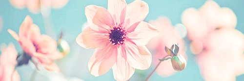 juliawkasper's profile banner image