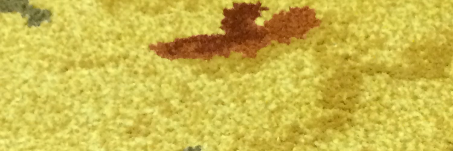 Jeremy McQuillin banner