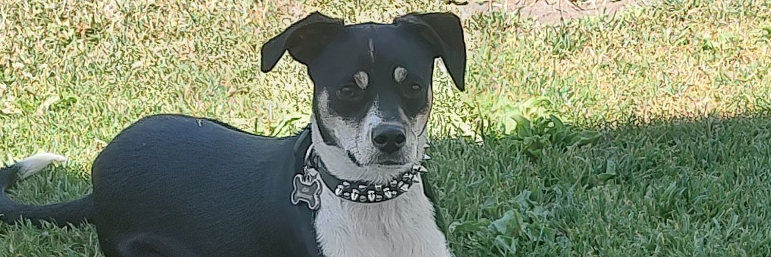 Jeff Feinberg banner