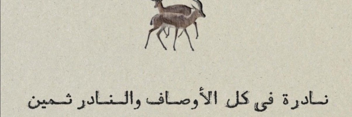 💘 banner