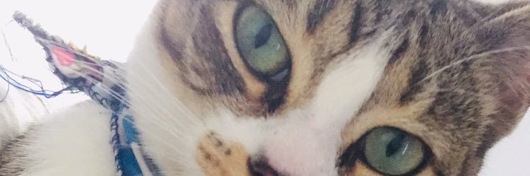 sylviavillamil95 banner