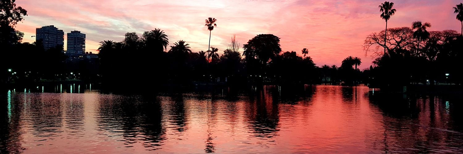 Pablo Lanusse banner