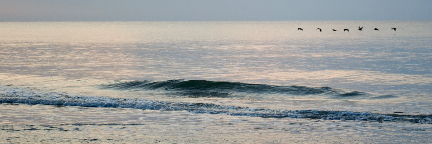 robkovacs's profile banner image