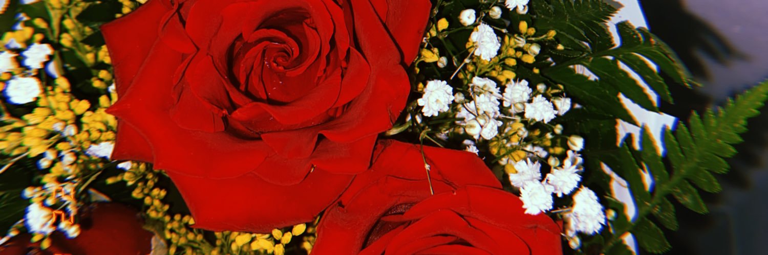 gabyvalilo's profile banner image