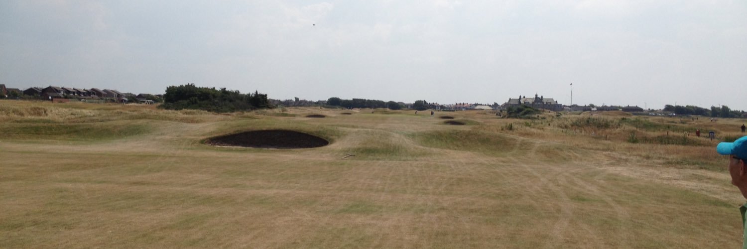 Briddie ⛳️ banner