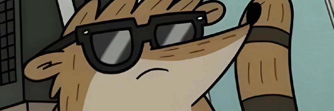 mr callie jr banner