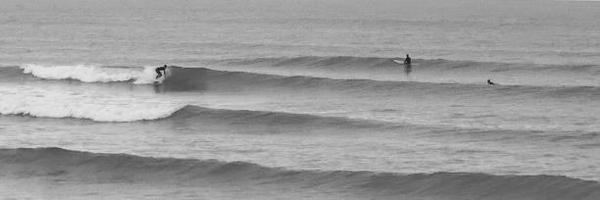 yeards Profile Banner