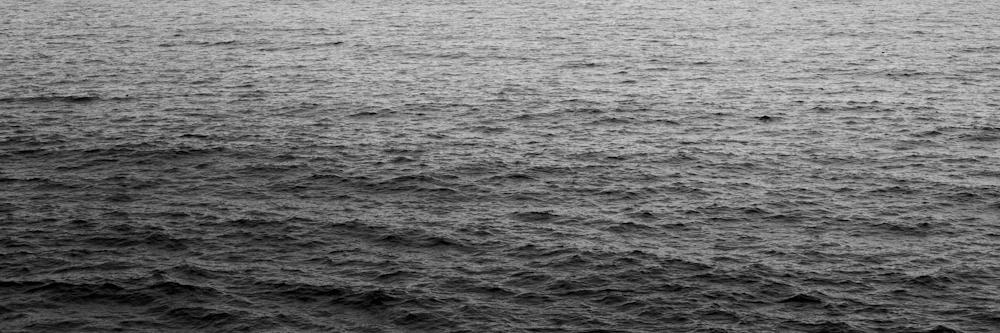 Julio Vasconcellos banner