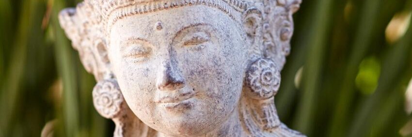 Shaktionline's profile banner image