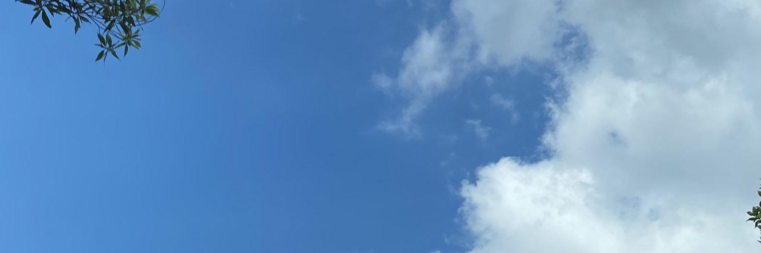 aa banner
