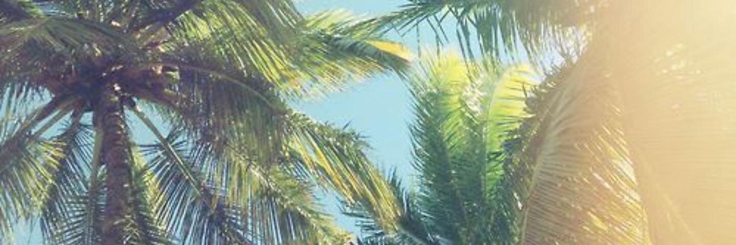 j_guau's profile banner image