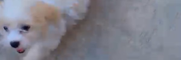 john_chaseweb3 Profile Banner