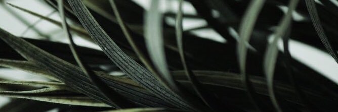 Ennyvi's profile banner image