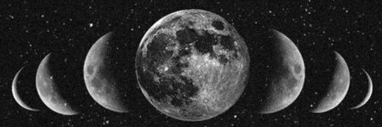 fran_pupin's profile banner image
