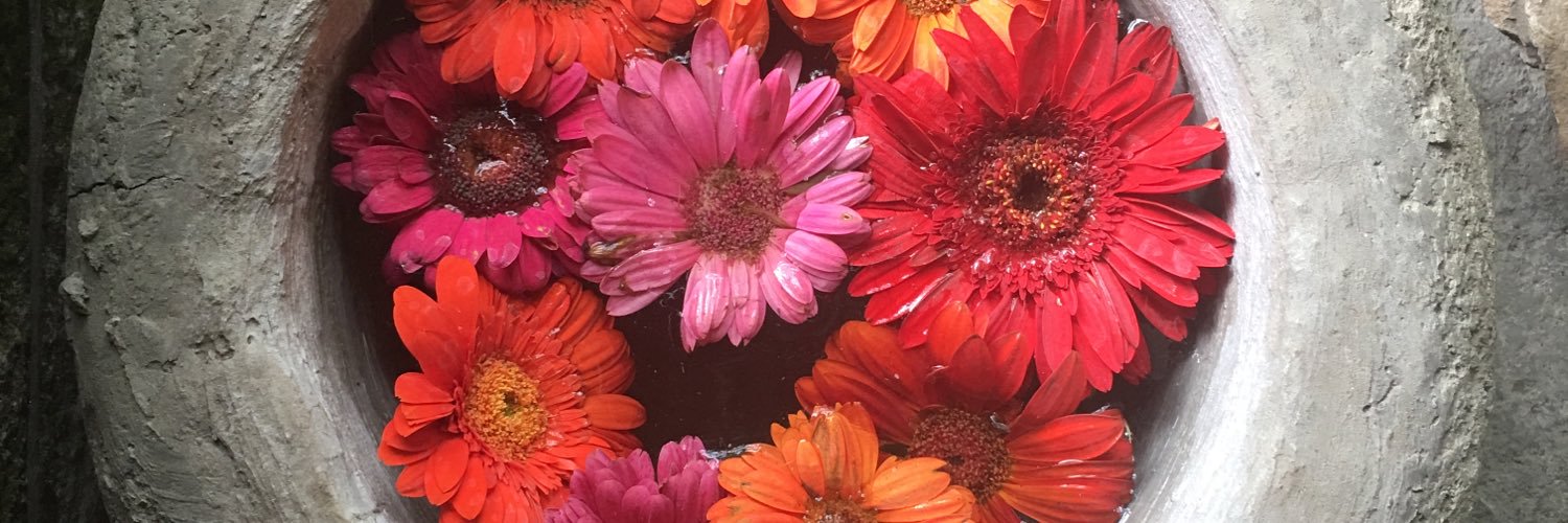 Noelene K. Jeffers banner