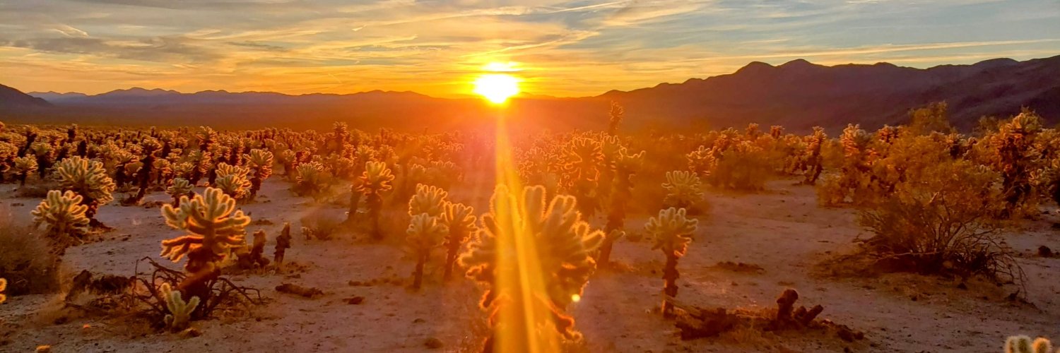 Jackson Action 📷 banner