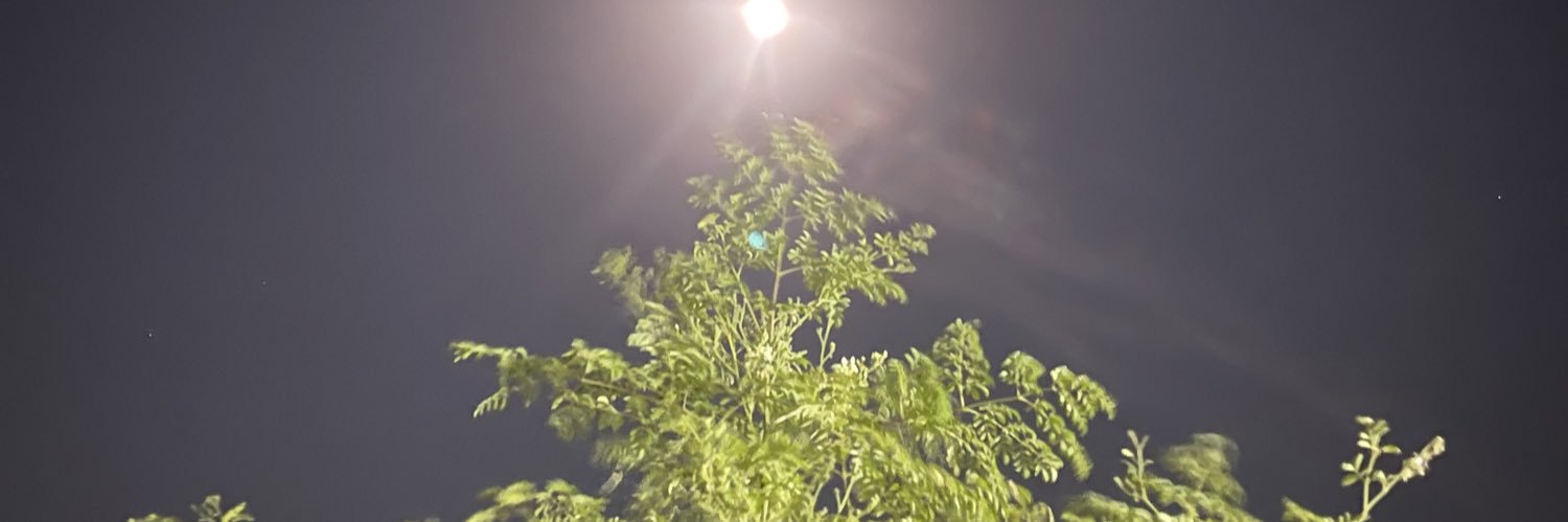 مريم banner