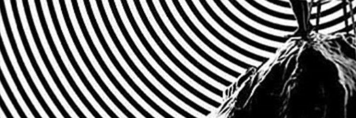 samikunny's profile banner image
