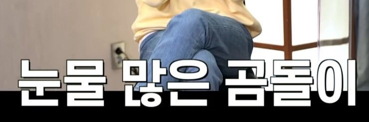 곰댐명 banner