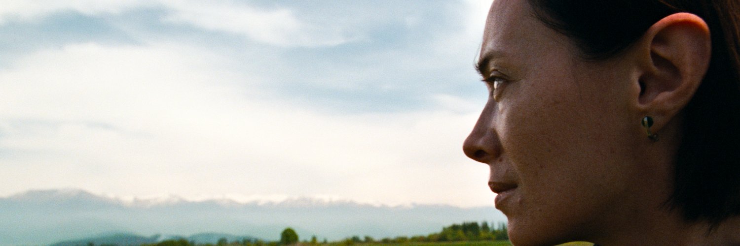 Metrograph Pictures banner