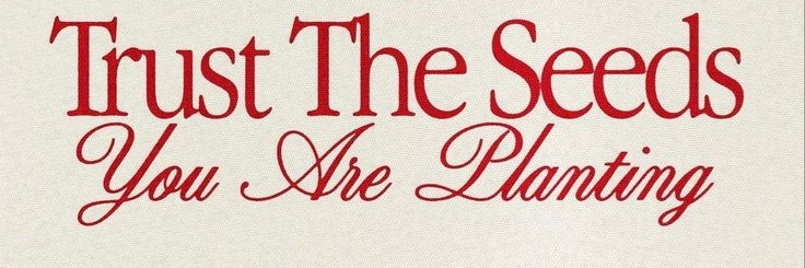 siya, rpm-frpsy .☘︎ ݁˖ | on hiatus banner