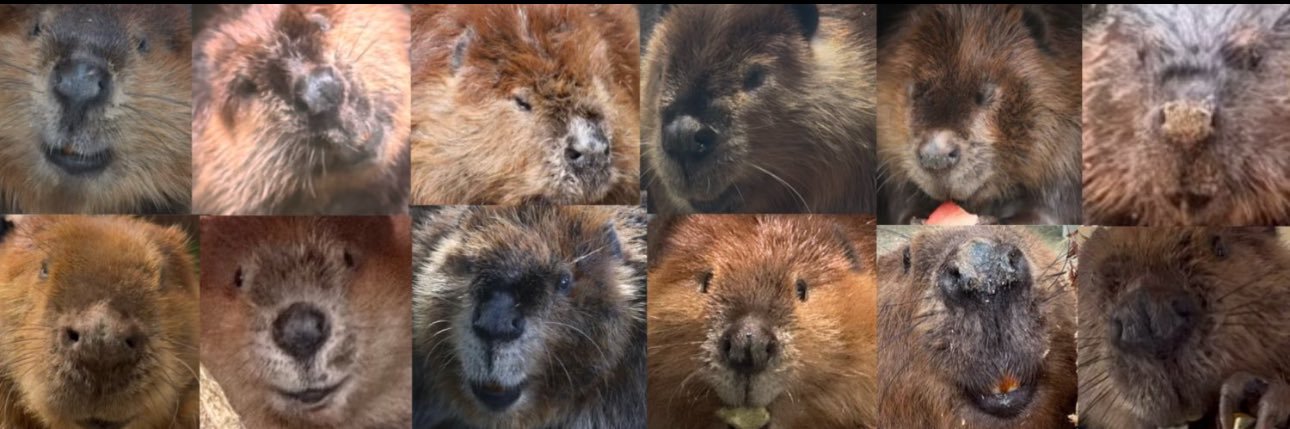 bibami(ビバ美) banner