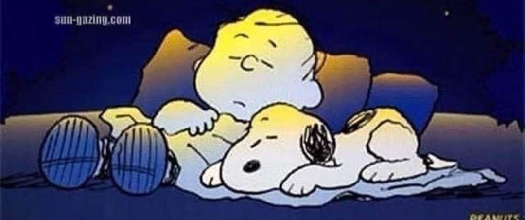 cookeecool's profile banner image