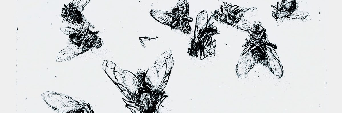 𝓺ueen‍‍ ‍of ‍𝖗ot, banner