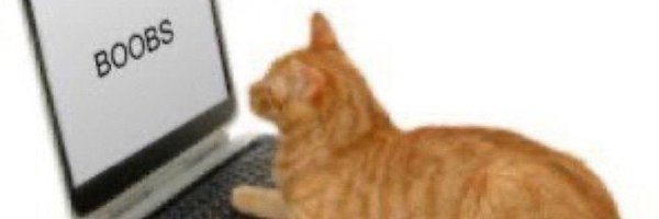 Gooseumms Profile Banner