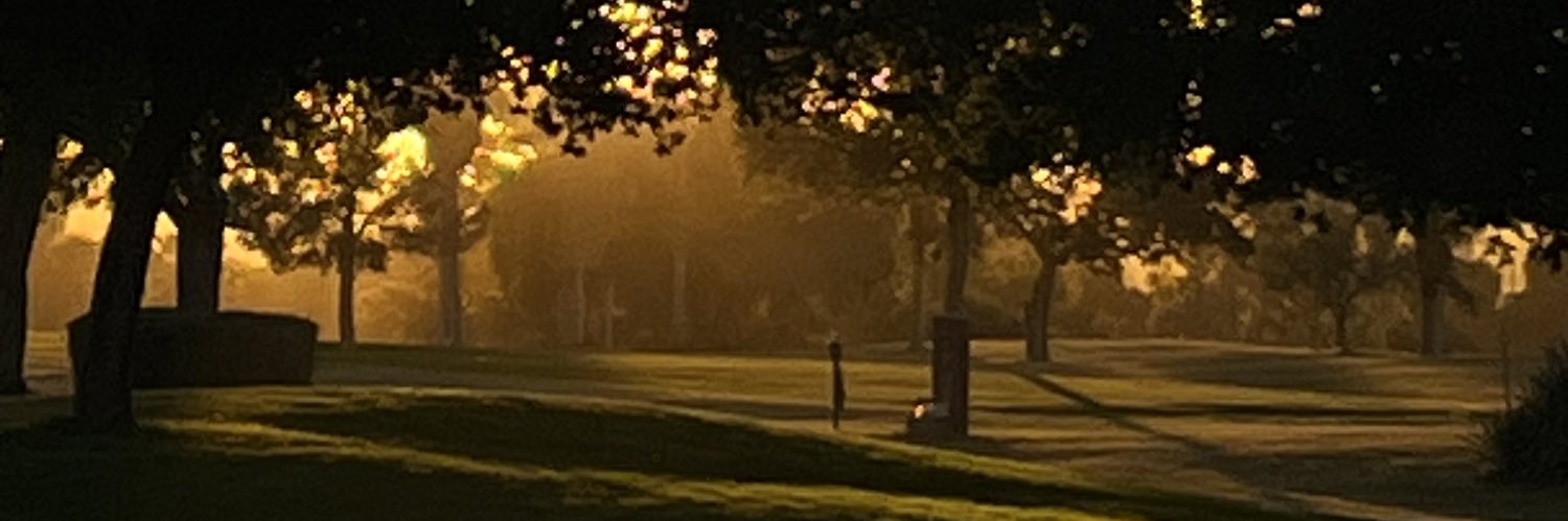 Diane_23's profile banner image