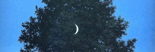 Christian Peribáñez banner