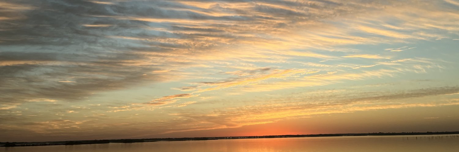 Bella Rittenhouse banner