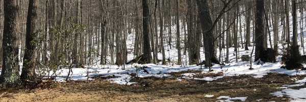 ericbeltran Profile Banner