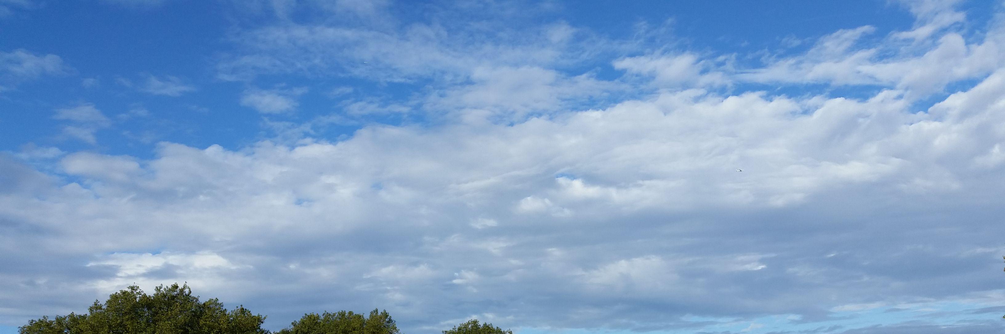 Felix Beccar banner