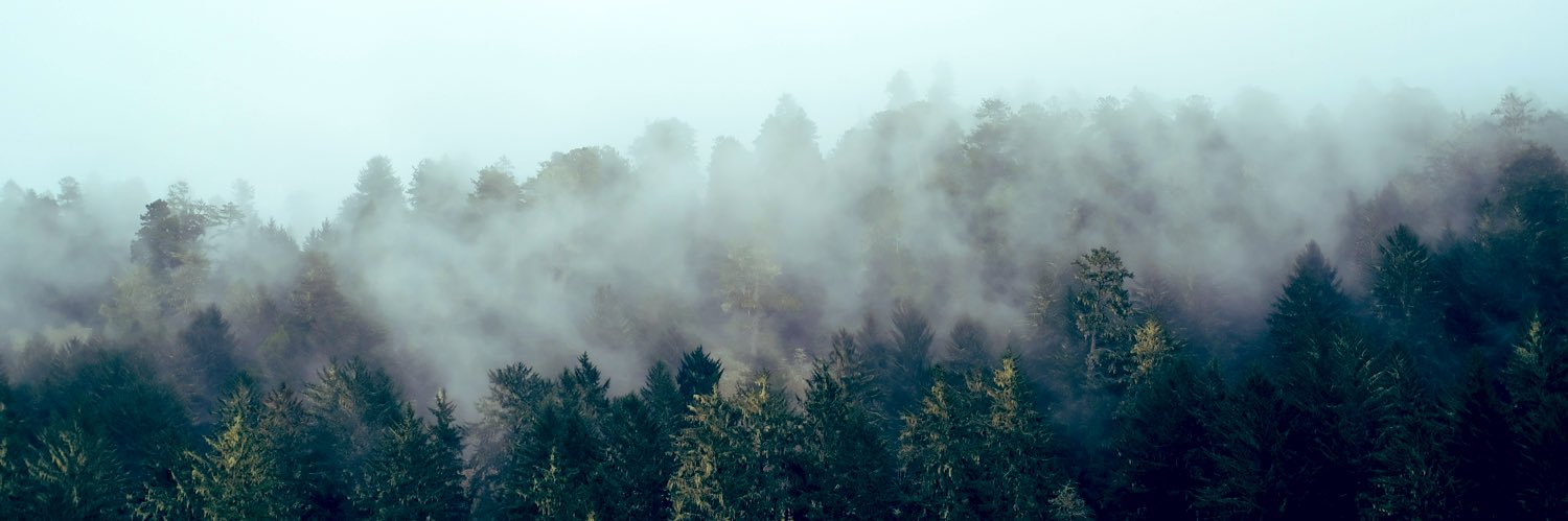 jasn05's profile banner image