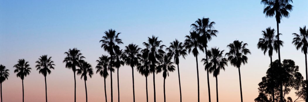 aruba561's profile banner image