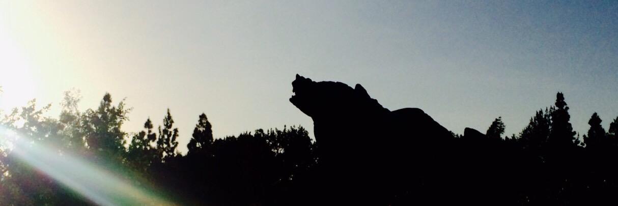 IvanLoyaB's profile banner image