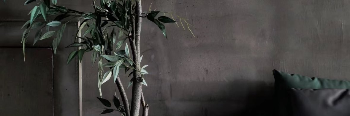 熵 banner