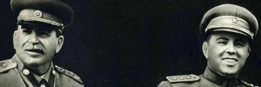Vladimir Catnin banner