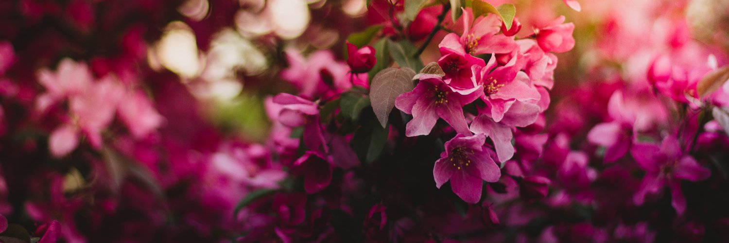 judifloriane's profile banner image