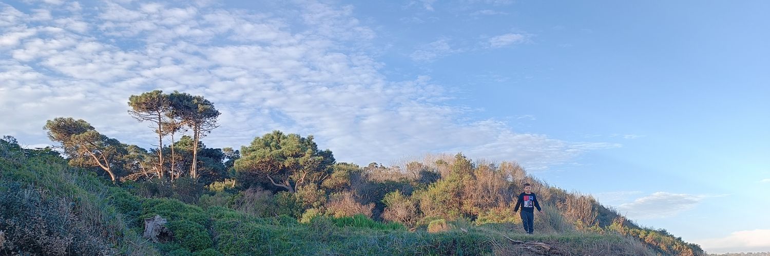 @CarlaFou banner
