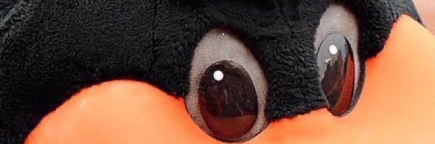 MWrobelJr's profile banner image